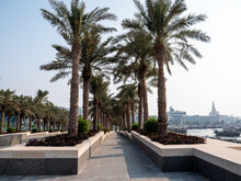 Stunning View Of Palm Trees In A Park Near The Museum Of Islamic Art In Doha Qatar