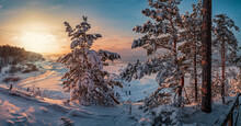 Snowy Landscape At Sunset, Frozen And Covered In Snow Trees In Winter
