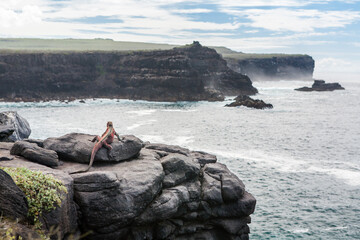 Wall Mural - galapagos islands panorama. galapagos marine iguana resting on rocky beach and looking away. romanti