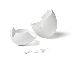 egg shell food white breakfast ingredient fragile protein half chicken part easter broken eggshell cracked