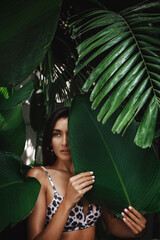 Poster - Caucasian brunette woman with golden tan hiding behind tropical leaves and palm trees, standing in summer bikini and looking sensual. Concept of tourism and tropic holidays