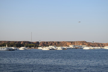 boats on the sea 