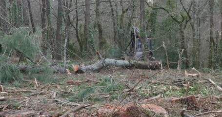 Poster - machines for the forest industry in action