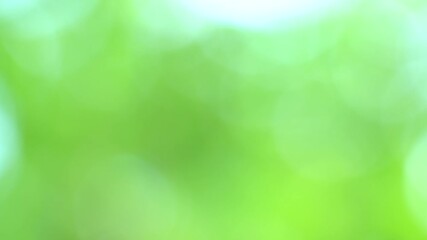 beautiful sunny bright green blurry abstract 4k video bokeh background
