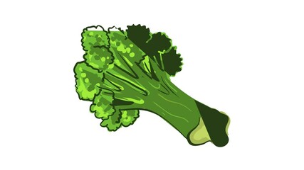 Poster - Garden broccoli icon animation best object on white background