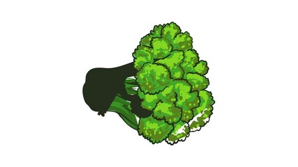 Poster - Eco broccoli icon animation best object on white background