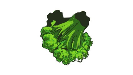 Poster - Broccoli vegetable icon animation best object on white background