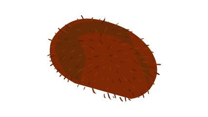 Poster - Whole kiwi icon animation best object on white background