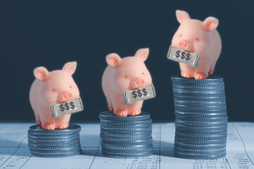 Wall Mural - Piggy bank with coin on Bank book, Business or finance saving concept with putting coin into pink piggy bank with stack of coins beside, saving money concept.