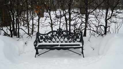 Wall Mural - bench in the snow