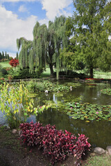 Poster - The pond and flowers