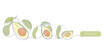 Avocado vector color illustration, background, banner for label design. One continuous line drawing of avocado with lettering Organic. Editable black stroke.