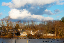 Large Group Of Canada Geese Swimming In Lake Weamaconk In Englishtown, New Jersey, On A Mostly Sunny Day With A Few Large Cumulus Clouds  -02