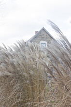 House In A Grain Field