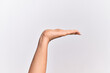 © Krakenimages.com - Hand of caucasian young woman with flat palm presenting product, offer and giving gesture, blank copy space