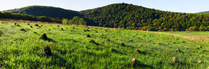 Wall Mural - Panoramic view of the agricultural plowed agricultural field.