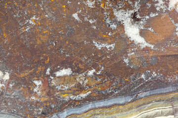 Wall Mural - Beautiful  colorful pattern in slice of agate rock for background