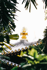 Canvas Print - Vertical shot of a Thai temple art on the roof with tree leaves in the foreground