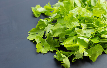 Chinese celery on dark background.