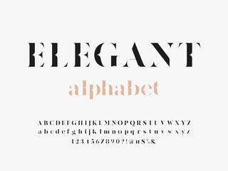Fototapete - Modern elegant display alphabet design with uppercase, lowercase, numbers and symbol