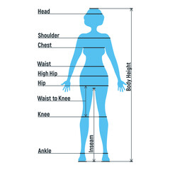 Wall Mural - Female size chart anatomy human character, people dummy front and view side body silhouette, isolated on white, flat vector illustration.