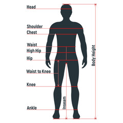 Wall Mural - Male size chart anatomy human character, people dummy front and view side body silhouette, isolated on white, flat vector illustration.