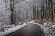 Droga w zimowym lesie.