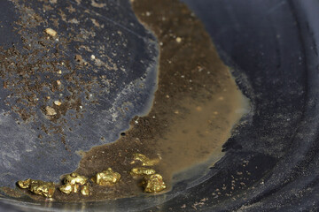 Wall Mural - gold nuggets in a metal gold pan