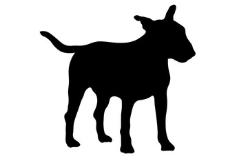 Aufkleber - Black silhouette of bull terrier dog isolated on white background. Vector illustration