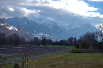 Sticker - Naturlandschaft bei einem Spaziergang im Riet in Schaan in Liechtenstein 26.12.2020