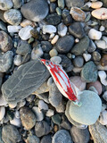 Fototapeta Morze - stones on the beach