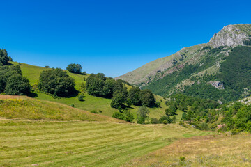 Wall Mural - landscape in the mountains