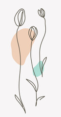 Aufkleber - One line drawing. Beautiful garden tulips with leaves. Hand drawn sketch. Vector illustration.	