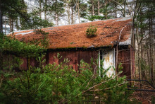 Scary Cabin In The Woods Abandonded And Decaying