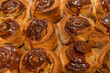 © Nikolay - Homemade cinnamon buns with spices and caramel on parchment paper.