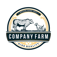 Retro Vintage Livestock Cattle Farm Logo  Designs