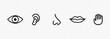 © Coosh448 - Five human senses icon set. Eye, nose, ear, hand, mouth with tongue sign. Sight, smell, hearing, touch, taste concept. Vector on isolated transparent background. EPS 10