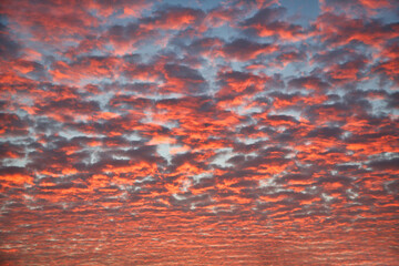 Red dramatic sky with cloud