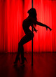 Pole dance. Silhouette of a slender sexy woman near a pole in a nightclub