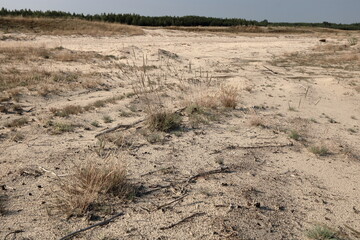 sand dunes in the desert