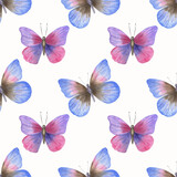 Fototapeta Dziecięca - 
Butterflies seamless pattern.
White background.
Watercolor illustration.