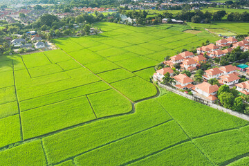 Wall Mural - Land and housing estate in aerial view. May call residential building, village, community. Real estate or property from subdivision, construction, development for sale, buy and mortgage in Chiang Mai.