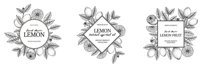 Set of hand drawn vintage lemon frames. Vector illustration in sketch style isolated on white. Print, package, card design.