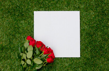 Wall Mural - White square banner and bouquet of roses on green grass.