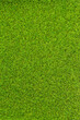 © yukinoshirokuma - 芝生イメージ素材02