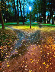 Wall Mural - A wide trail in the autumn park in front of the luminous lantern branches into two narrow ones strewn with fallen foliage. Night conceptual landscape