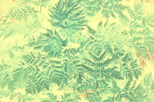 Green Vintage Background Leaves Grass / Abstract Unusual Background Vintage Look