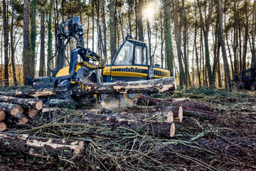 Poster - machine for cutting tree trunks used in the forestry industry