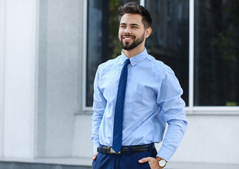 Wall Mural - Handsome businessman with stylish wristwatch outdoors