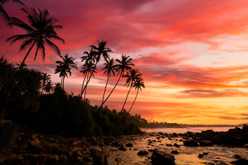 Wall Mural - Sunset on the beach with coconut palms. Sri Lanka